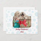 メリークリスマスキュートゴールデンレトリバーパピー シーズンポストカード (正面/裏面)