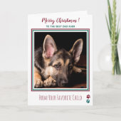 メリークリスマスキュートドッグパパ シーズンカード (正面)