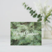メリークリスマスグリーンパインツリーホリデー シーズンポストカード (スタンド正面)