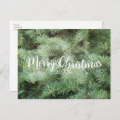 メリークリスマスグリーンパインツリーホリデー シーズンポストカード (正面/裏面)