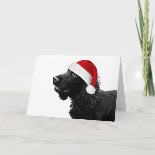 メリークリスマスコッカー シーズンカード (正面)