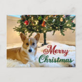 メリークリスマスコルギ美しい犬写真 ポストカード (正面)