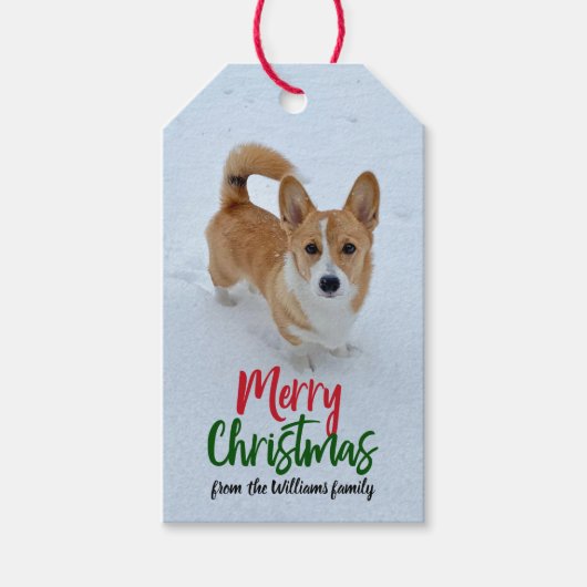 メリークリスマスコルギ雪写真美カスタムしい ギフトタグ (正面)