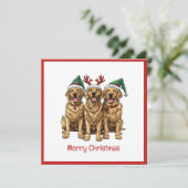 メリークリスマスゴールデンレトリバードッグ シーズンカード (スタンド正面)