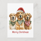 メリークリスマスゴールデンレトリバードッグ シーズンポストカード (正面)