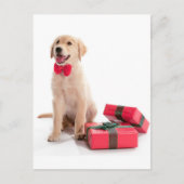 メリークリスマスゴールデンレトリバーパピー シーズンポストカード (正面)