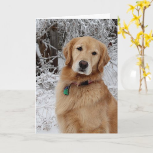 メリークリスマスゴールデン カード (黄色い花)