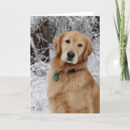 メリークリスマスゴールデン カード