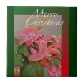 メリークリスマスサボテンの花 タイル (正面)
