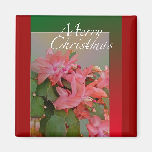 メリークリスマスサボテンの花 マグネット (正面)