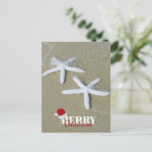 メリークリスマスサマースターフィッシュビーチクリスマス シーズンポストカード (スタンド正面)