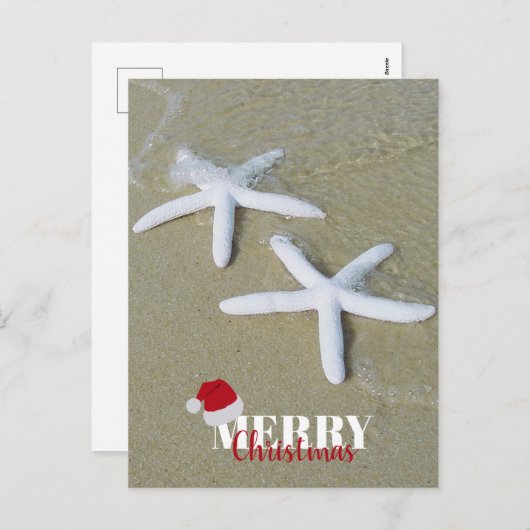 メリークリスマスサマースターフィッシュビーチクリスマス シーズンポストカード (正面/裏面)