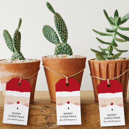 メリークリスマスサンタかわいいおもしろいパーソナライズされた名 ギフトタグ