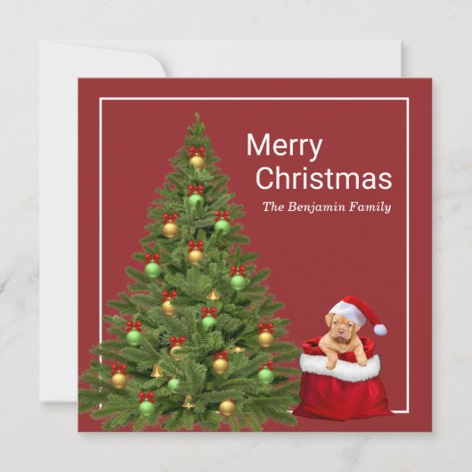 メリークリスマスサンタクロースおもしろいドッグパーソナライズ シーズンカード (正面)