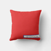 メリークリスマスサンタ・オブ・カラー クッション (裏面)