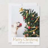 メリークリスマスシンプルおもしろい文字フォトカード 招待状 (正面)