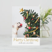 メリークリスマスシンプルおもしろい文字フォトカード 招待状 (スタンド正面)