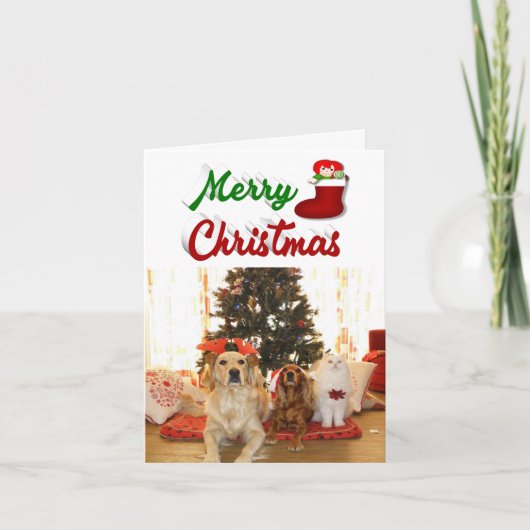 メリークリスマスストッキング写真赤い緑 シーズンカード (正面)