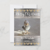 メリークリスマススノーバード金ゴールドウッドフォトコテージ 招待状 (正面)