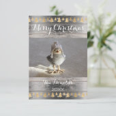 メリークリスマススノーバード金ゴールドウッドフォトコテージ 招待状 (スタンド正面)