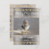 メリークリスマススノーバード金ゴールドウッドフォトコテージ 招待状 (正面/裏面)