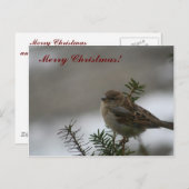 メリークリスマススパロー! シーズンポストカード (正面/裏面)