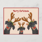 メリークリスマスダックスシュントリナーレッドドゴン シーズンポストカード (正面)