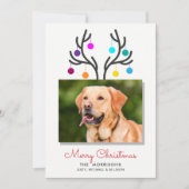 メリークリスマストナディアアントラーフォトペットホリデー シーズンカード (正面)