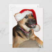 メリークリスマスドイツの羊飼い シーズンポストカード (正面/裏面)
