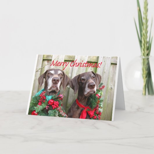 メリークリスマスドイツ語の短いポインタ シーズンカード (正面)