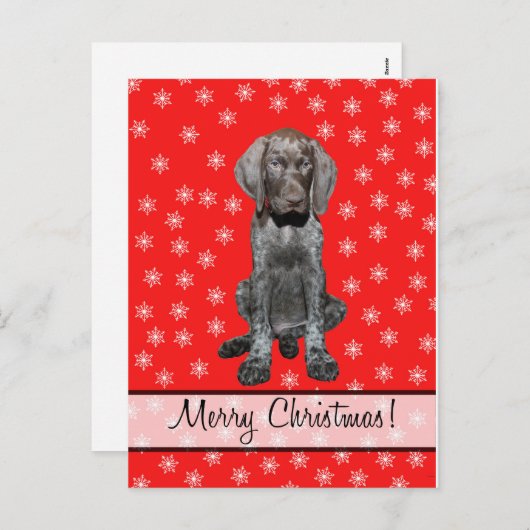 メリークリスマスドイツ語の短いポインタ シーズンポストカード (正面/裏面)