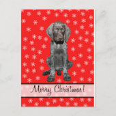 メリークリスマスドイツ語の短いポインタ シーズンポストカード (正面)