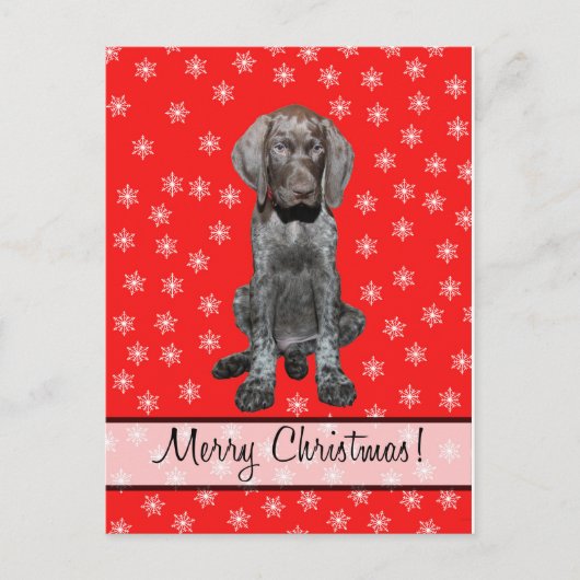 メリークリスマスドイツ語の短いポインタ シーズンポストカード (正面)