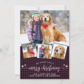 メリークリスマスドッグ愛農家フォトコラージュ シーズンカード (正面)