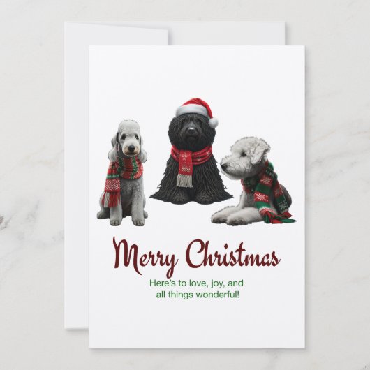 メリークリスマスドッグ シーズンカード (正面)