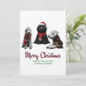 メリークリスマスドッグ シーズンカード (スタンド正面)