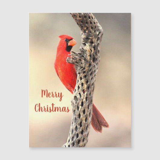 メリークリスマスノーザン（鳥）ショウジョウコウカンチョウマグネット (正面)