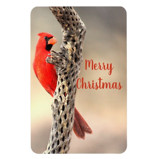 メリークリスマスノーザン(鳥)ショウジョウコウカンチョウ マグネット (縦)