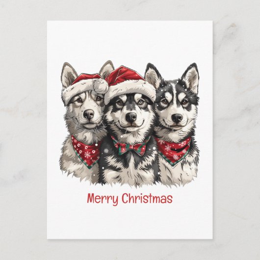 メリークリスマスハスキー犬 シーズンポストカード (正面)