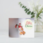 メリークリスマスハミングバードとクリスマスストッキング シーズンポストカード (スタンド正面)