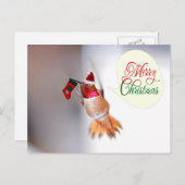 メリークリスマスハミングバードとクリスマスストッキング シーズンポストカード (正面/裏面)