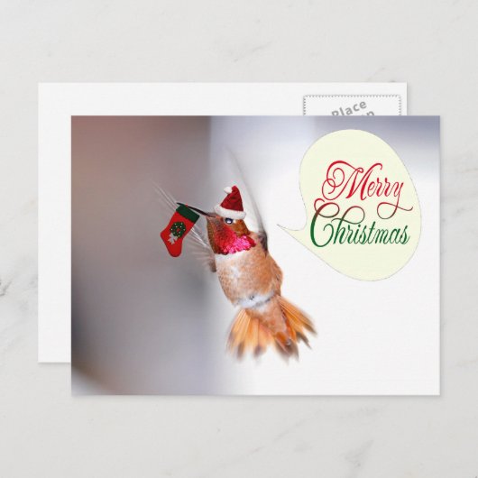 メリークリスマスハミングバードとクリスマスストッキング シーズンポストカード (正面/裏面)