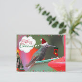 メリークリスマスハミングバード シーズンポストカード (スタンド正面)