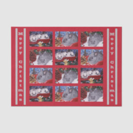 メリークリスマスバニーウサギ 薄葉紙