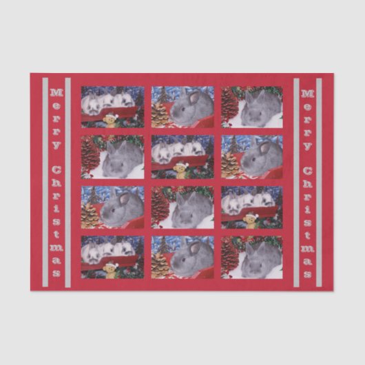 メリークリスマスバニーウサギ 薄葉紙 (正面)