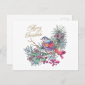 メリークリスマスバードオンパインブランチ シーズンポストカード (正面/裏面)