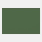 メリークリスマスパーソナライズされたホリデーグリーナリー ラッピングペーパーシート (正面3)