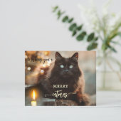 メリークリスマスパーフェクト新年の猫カード シーズンカード (スタンド正面)