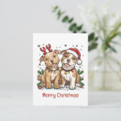メリークリスマスピットブルドッグ シーズンポストカード (スタンド正面)