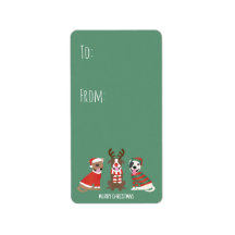 メリークリスマスピットブルドッグ